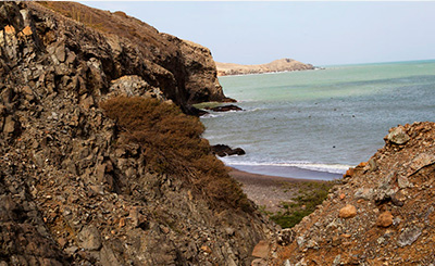 Jepira. Foto por Jesús Abad Colorado